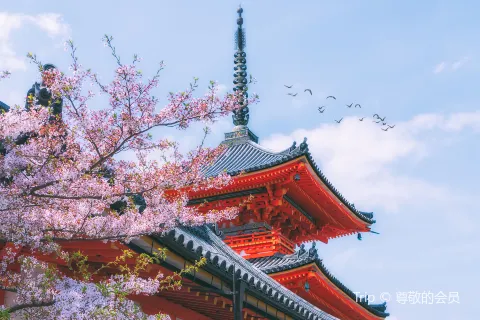 京都 image