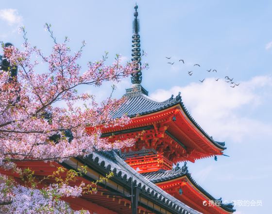 京都 自由行套票