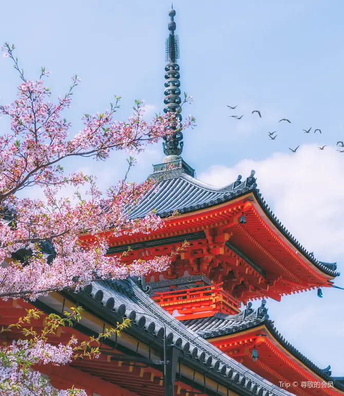 Kyoto
