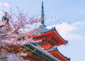京都丹波 亀岡夢コスモス園 民宿