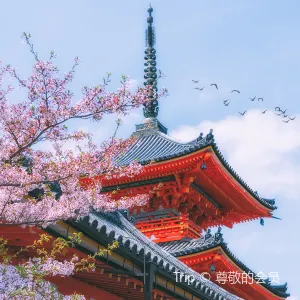【京都美食】2026京都美食餐廳盤點!附當地景點推薦