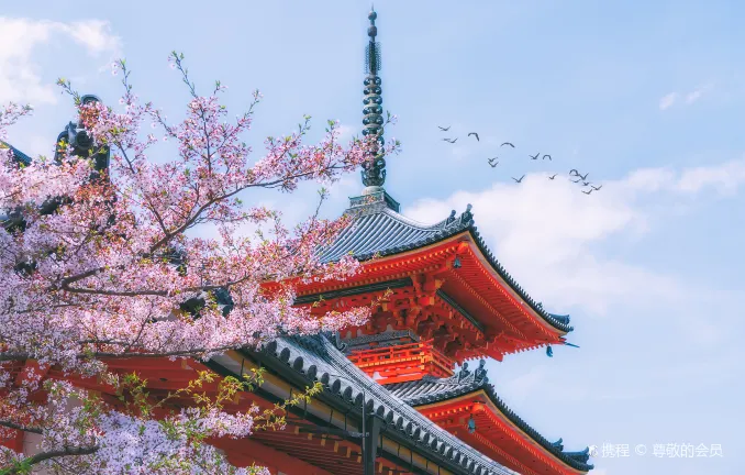 tour Kyoto 1 ngày