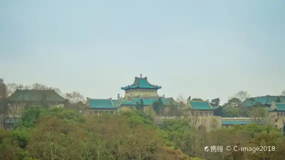 Wuhan University + East Lake + Qingchuan Pavilion + Guishan Mountain + Yellow Crane Tower Spring Cherry Blossom Viewing/ guide/Translation G