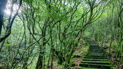 Songcheng Longquan Mountain Tourist Area