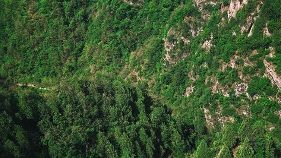 九龍山位於陝西省神木縣，縣城西面為西山（又名二郎山），東面東