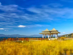 월량만 습지공원