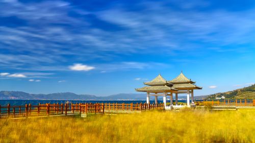 Yueliangwan Wetland Park