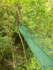 Natura Eco Park - Costa Rica