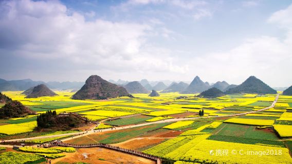Rapeseed Flower Viewing in Luoping