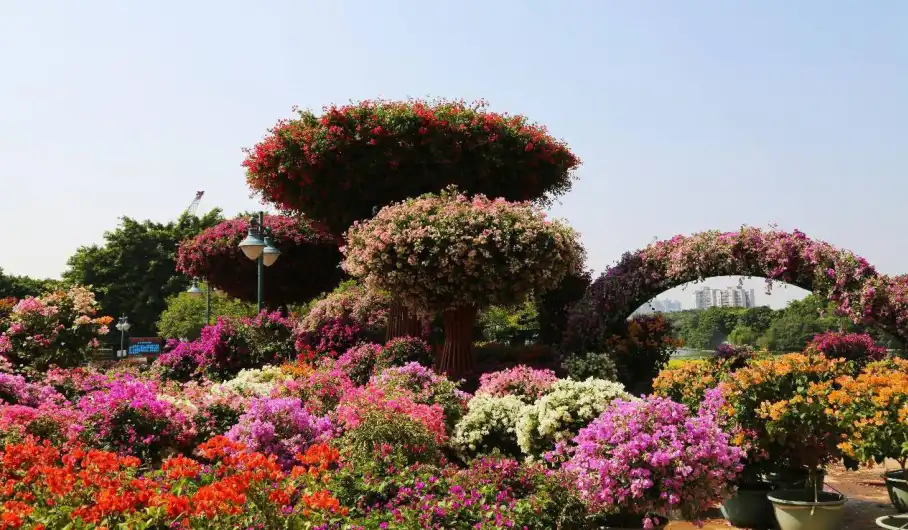 Hotels near China Azalea Expo Park