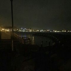 Tipo 00張用戶圖片