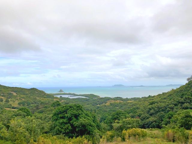 Mokolii