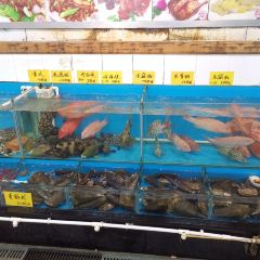 崖口人家 User Photo