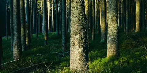 PPL Wallenpaupack Environmental Learning Center