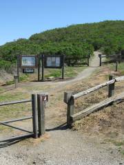 Windy Hill Open Space Preserve