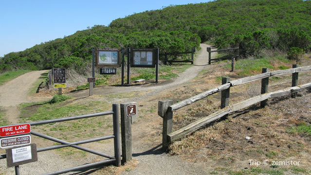 Windy Hill Open Space Preserve