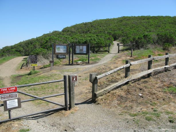 Windy Hill Open Space Preserve