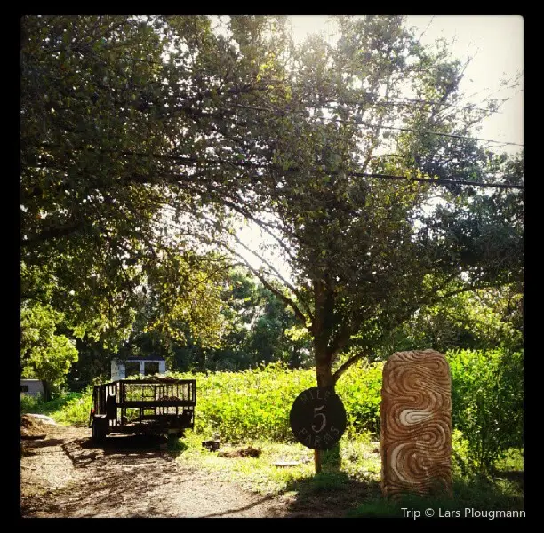 Festival Beach Community Garden