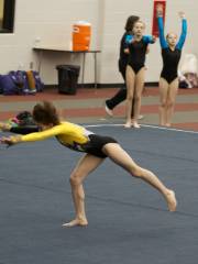 WOGA Gymnastics (Frisco)