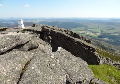 Ben Rinnes