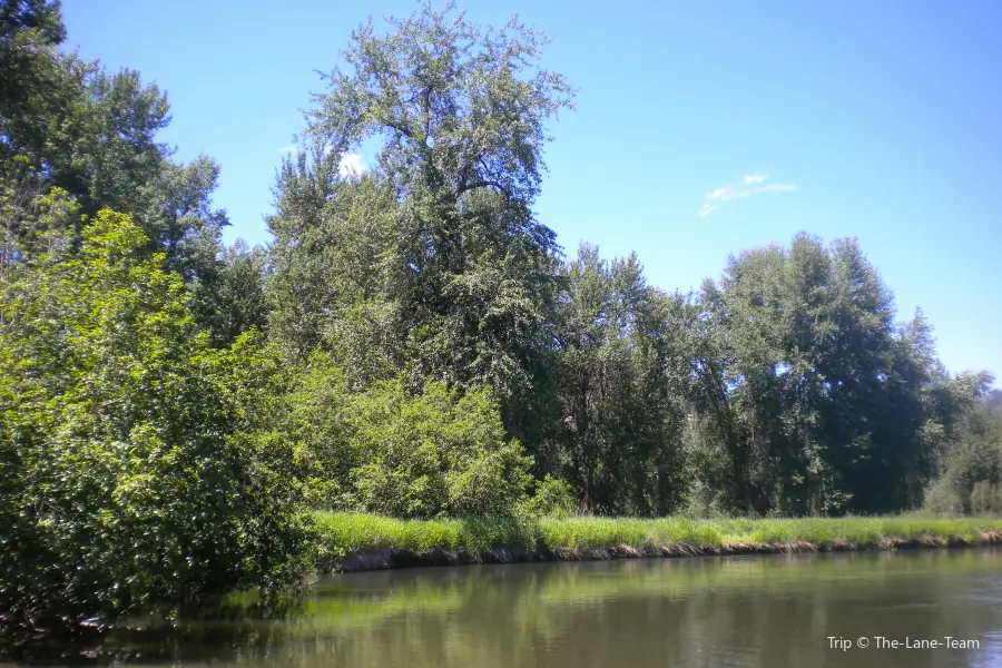 Little Spokane River