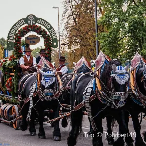 Oktoberfest