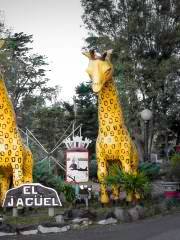 Parque El Jagüel