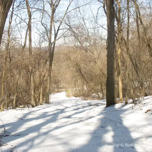WinMan Trails
