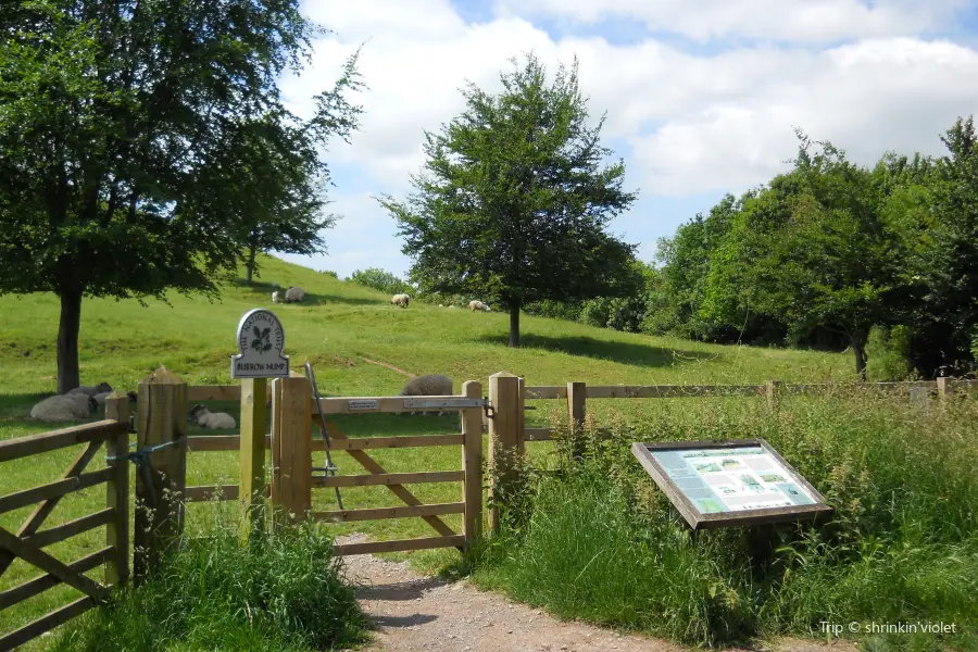 Burrow Farm Gardens