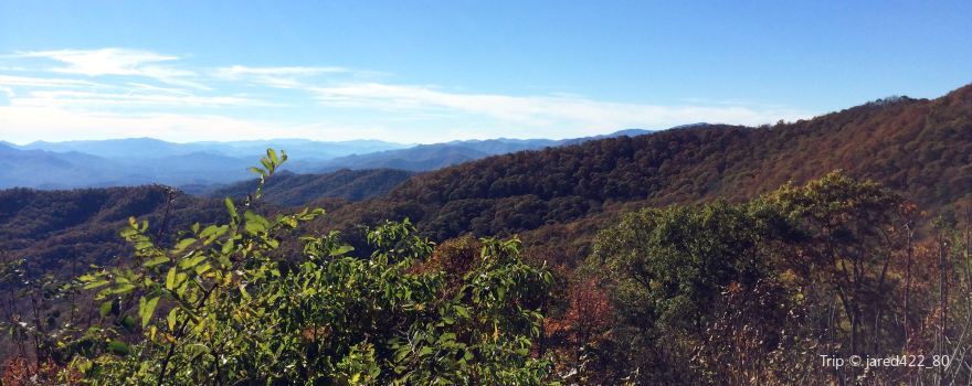 Bunches Bald Overlook