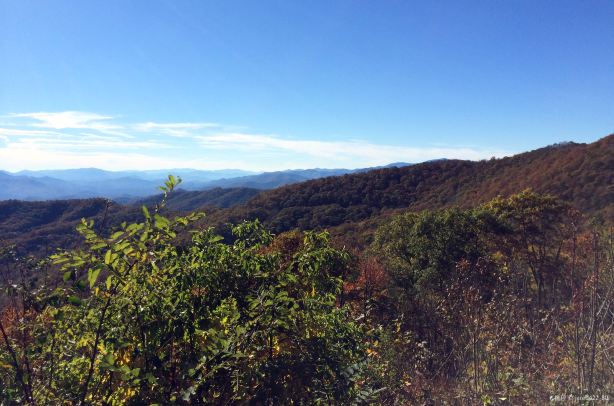 Bunches Bald Overlook