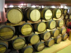Vergelegen Wine Estate