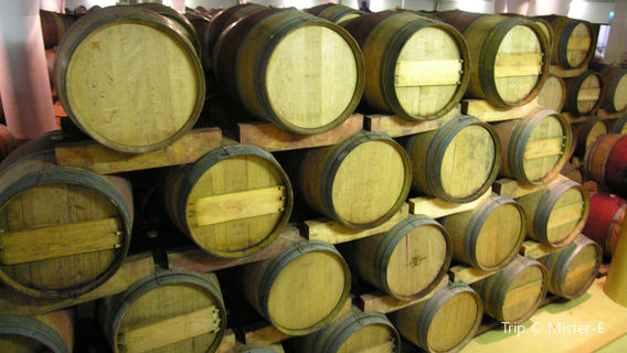 Vergelegen Wine Estate