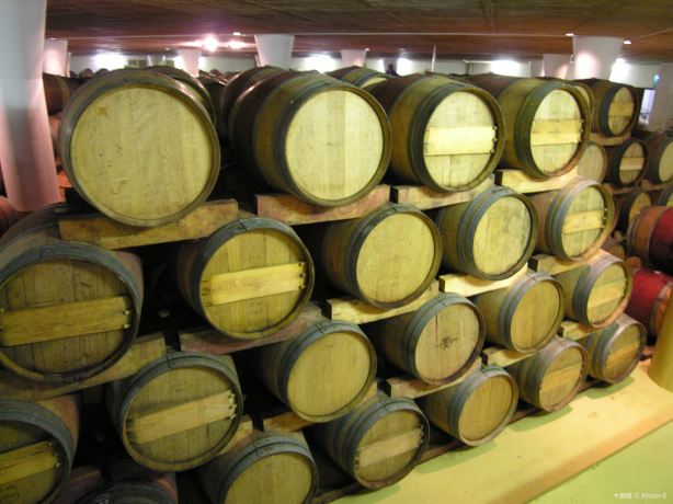 Vergelegen Wine Estate