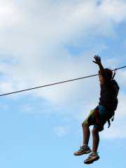 Canopy Ushuaia