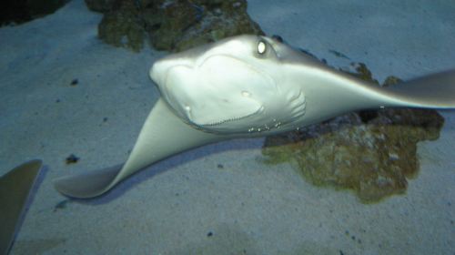 Seaside Aquarium