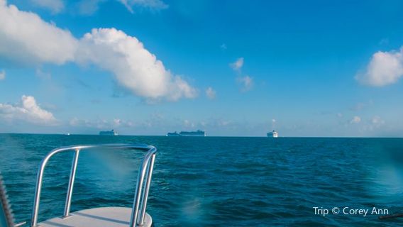 Argia Mystic Cruises