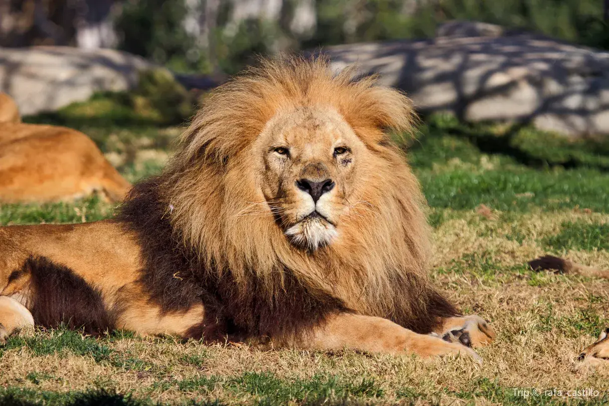 5_Bioparc Valencia
