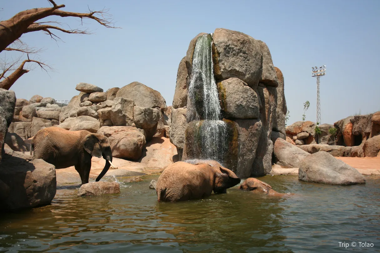4_Bioparc Valencia