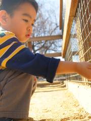 Emma Prusch Farm Park