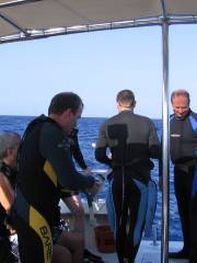 Top Diving Gran Canaria