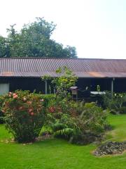 Kona Coffee Living History Farm