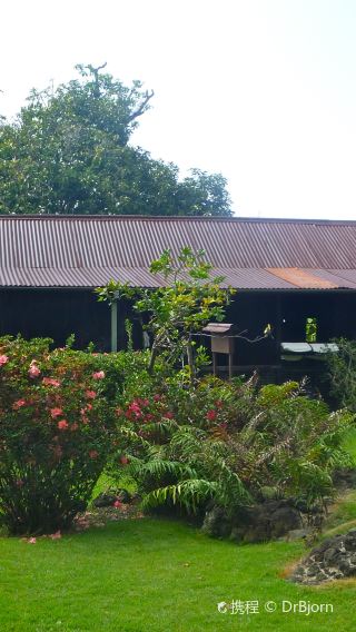 夏威夷島科納咖啡歷史農園+綠沙灘+霍那伍國家歷史公園一日遊