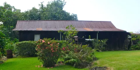 科納咖啡歷史農園