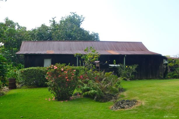 Kona Coffee Living History Farm