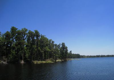 Lake Louisa State Park