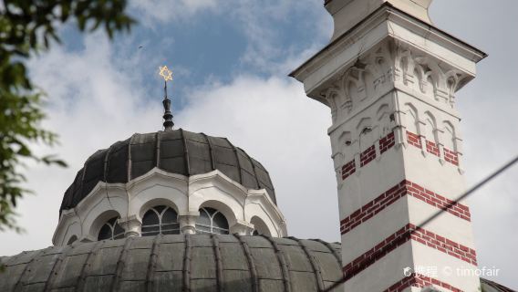 Vidin
