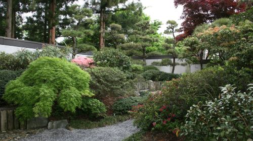 水本日本散歩庭園