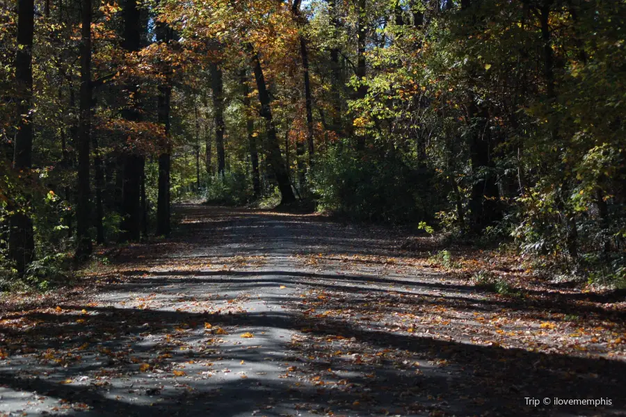 Overton Park Conservancy