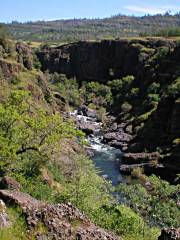 Bidwell Park